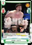 NJPW/003B-008 C オスカー・ロイベ