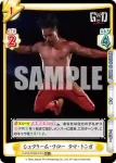 NJPW/003B-019 RR エイプシット タンガ・ロア