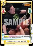 NJPW/003B-027S RR+ 電光石火の押さえ込み 矢野 通