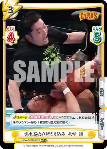NJPW/003B-027S RR+ 電光石火の押さえ込み 矢野 通