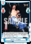 NJPW/003B-039 R TAKAみちのく