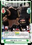 NJPW/003B-040 RR 景色を変える タイチ