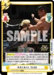 NJPW/003B-042 RR 景色を変える SANADA