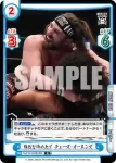 NJPW/003B-050 R 強烈な締め上げ チェーズ・オーエンズ
