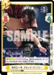 NJPW/003B-053 C 強烈な一撃 デビッド・フィンレー