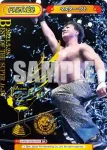 NJPW/003B-P002 BP マスター・ワト