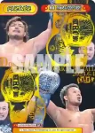 NJPW/003B-P003PP PP オカダ・カズチカ
