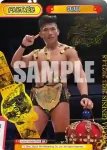 NJPW/003B-P005 BP タイチ