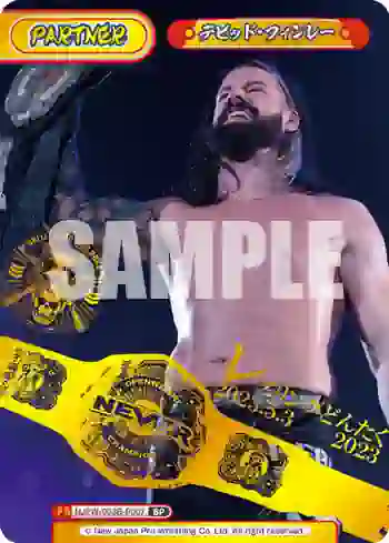 NJPW/003B-P007 BP デビッド・フィンレー