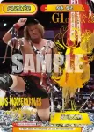 NJPW/003B-058 RRR リングの主役 内藤 哲也