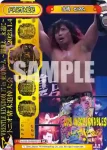 NJPW/003B-P009 BP 鷹木 信悟
