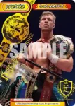 NJPW/003B-P010PP PP 高橋 ヒロム