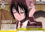 NK/W30-025 CC かみかざり