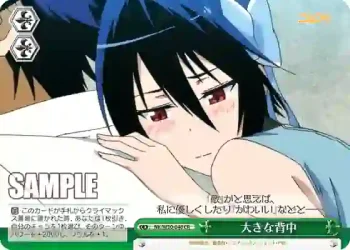 NK/W30-048 CR 大きな背中