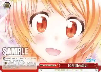 NK/W30-073 CR 10年間の想い