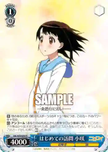 NK/W30-080 R はじめての訪問 小咲
