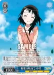 NK/W30-090 C お調子者 集