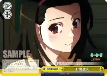 NM/S24-020 CC お出迎え