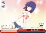 NM/S24-069 CC 思い出の扱い