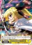 NR/W58-007 U 物語のゆくえ シグナム