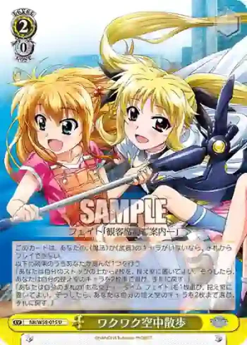NR/W58-015 U ワクワク空中散歩