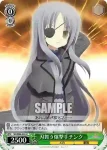 NS/W04-034 U 無限書庫司書長ユーノ