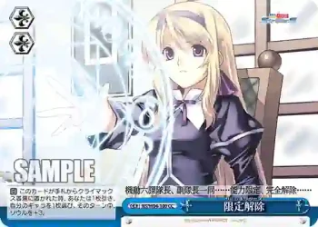 NS/W04-100 CC 限定解除
