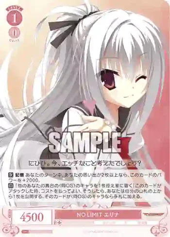 OS01/R01-052 RR NO LIMIT エリナ