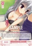 OS01/R01-065 C 衝撃の目覚め ニコラ