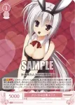 OS01/R01-065S SR 衝撃の目覚め ニコラ