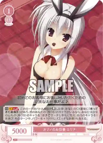 OS01/R01-066S SR カジノのお仕事 エリナ