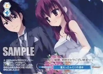 OS01/R01-P13 PR 重なったふたりの運命