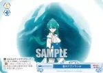 OS02/R02-T01 TD Villains ネロアリス