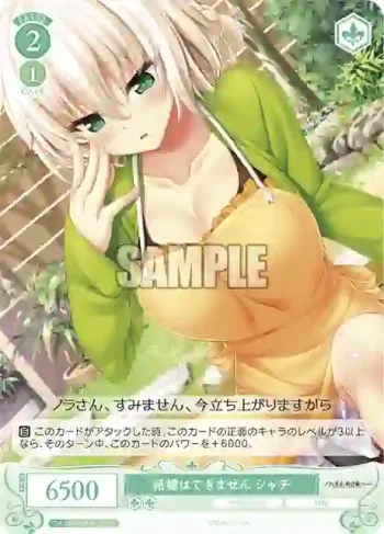 OS03/R03-047 C 結婚はできません シャチ