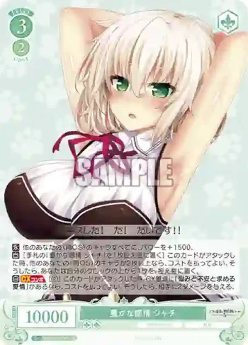 OS03/R03-049S SR 豊かな感情 シャチ