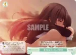OS03/R03-050S SR 我が家がバーニング