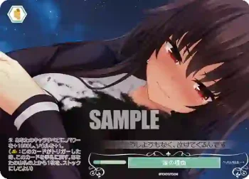 OS03/R03-P05 PR 涙の理由