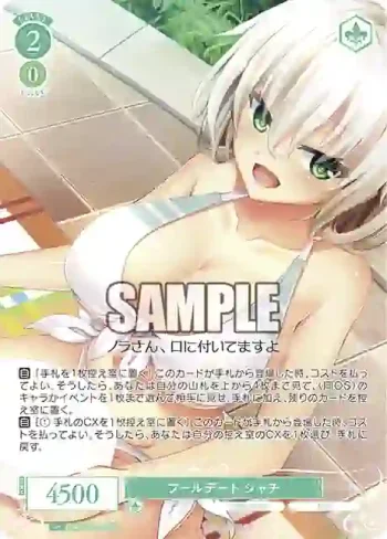 OS03/R03-P19S PR プールデート シャチ