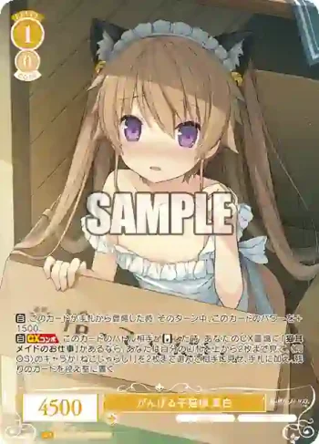 OS05/R05-002OFR OFR がんばる子猫様 真白