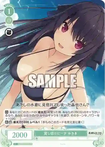 OS05/R05-037S SR 貸し切りビーチ みさき