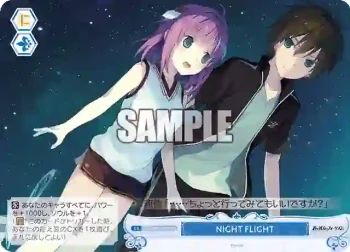 OS05/R05-098S SR NIGHT FLIGHT