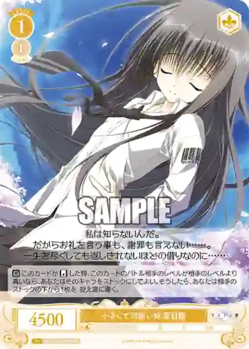 OS06/R06-017S SR 小さくて可愛い姉 夏目藍