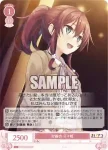 OS07/R07-066S SR 討論会 日々姫