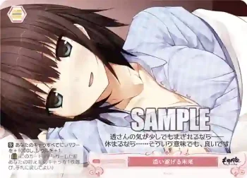 OS07/R07-075S SR 添い遂げる未来
