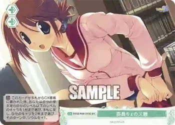OS08/R08-050S SR 委員ちょの災難