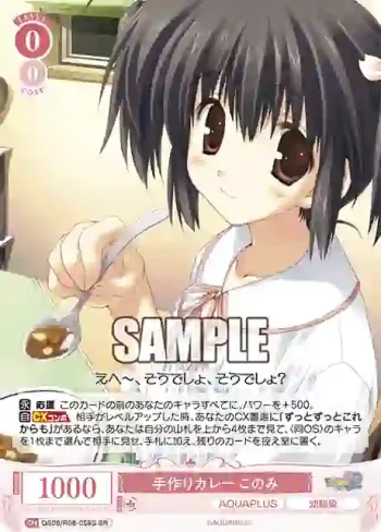 OS08/R08-059S SR 手作りカレー このみ