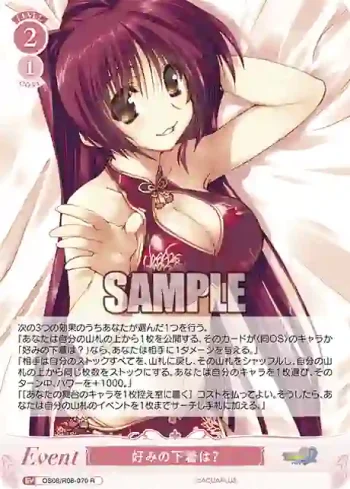 OS08/R08-070 R 好みの下着は？