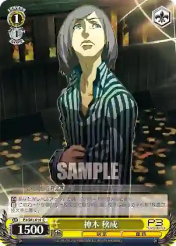 P3/S01-014 C 神木 秋成