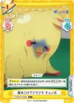 PON/001B-P005S NBP 江見 跳