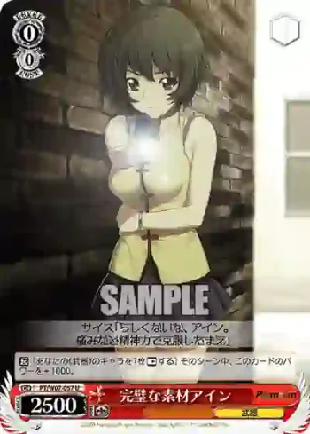 PT/W07-057 U 完璧な素材アイン